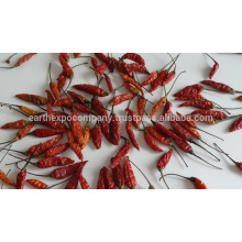 Korean Peperoncino Whole Chilli